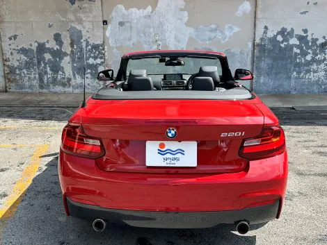 【石垣島・レンタカー】オープンタイプ自動車◆レッドBMWカブリオレ《最大4名乗り》無料送迎付き（No.r-20）