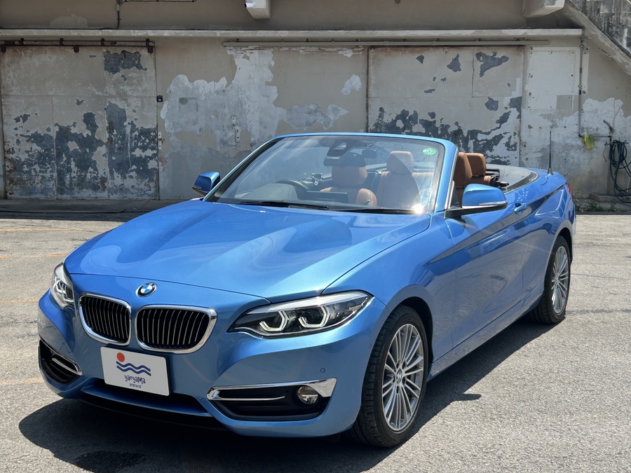 【石垣島・レンタカー】オープンタイプ自動車◆ブルーBMWカブリオレ《最大4名乗り》無料送迎付き（No.r-50）