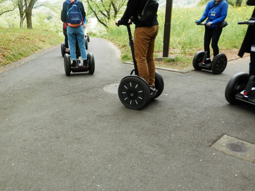 【必見】石垣島バンナ公園ってどんなところ？見どころ・観光スポットを完全ガイド！