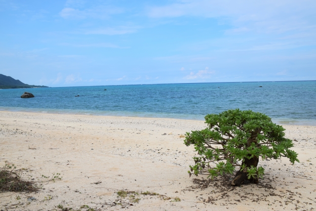 石垣島で一番綺麗なビーチはどこ？美しい海を満喫できるスポット10選