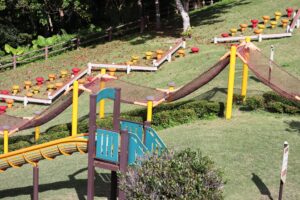 【必見】石垣島バンナ公園ってどんなところ？見どころ・観光スポットを完全ガイド！