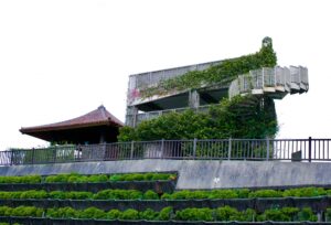 【必見】石垣島バンナ公園ってどんなところ？見どころ・観光スポットを完全ガイド！ 