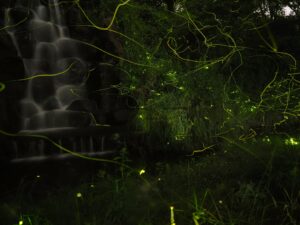 【必見】石垣島バンナ公園ってどんなところ？見どころ・観光スポットを完全ガイド！