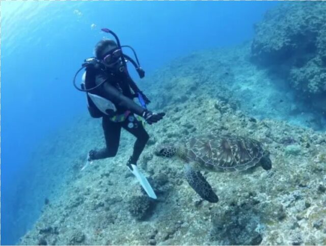 石垣島　ダイビング