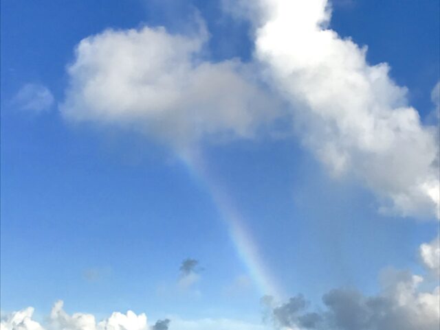 石垣島　梅雨　雨の日