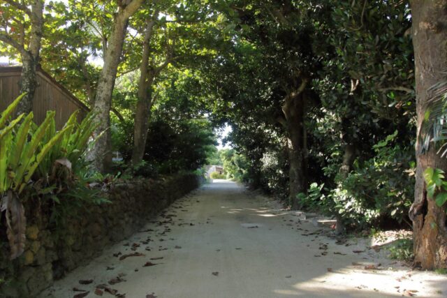 石垣島　梅雨　雨の日