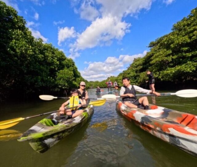 石垣島　マングローブ　カヌーカヤック
